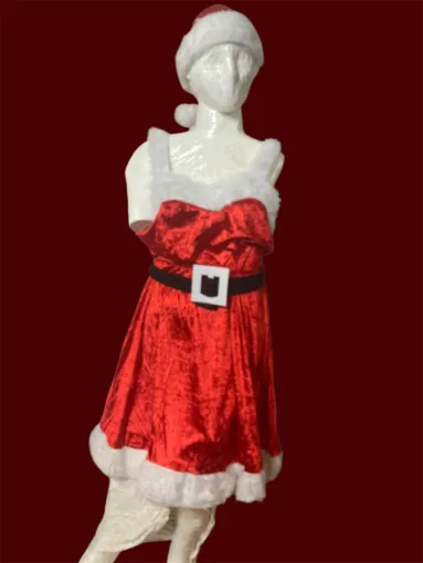 Dans le silence scintillant de décembre, un secret se glisse sous le rouge éclatant…